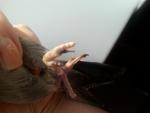 post-63755-1446470259_thumb.jpg