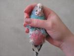 post-63842-1446900033_thumb.jpg