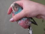 post-63842-1446900117_thumb.jpg