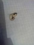 post-63877-1447132498_thumb.jpg