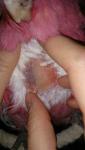 post-63904-1447248949_thumb.jpg