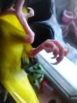 post-63912-1447957188_thumb.jpg