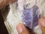 post-63916-1462820977_thumb.jpg