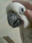 post-63916-1474015709_thumb.jpg