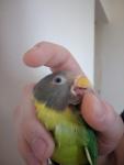 post-63932-1447489453_thumb.jpg