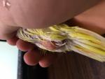 post-63945-1447530288_thumb.jpg