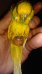 post-64022-1448030216_thumb.jpg