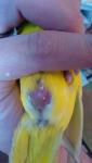 post-64022-1448096657_thumb.jpg