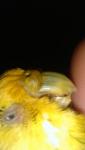 post-64022-1448101603_thumb.jpg