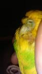 post-64022-1448101611_thumb.jpg