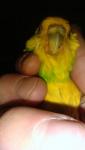 post-64022-1448101621_thumb.jpg