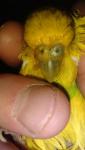 post-64022-1448101629_thumb.jpg