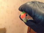 post-64032-1448111118_thumb.jpg