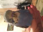 post-64050-1457970918_thumb.jpg