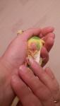 post-64064-1448327790_thumb.jpg