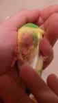 post-64064-1448327887_thumb.jpg