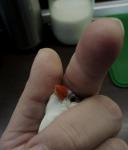 post-64082-1490218456_thumb.jpg