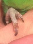 post-64203-1449678253_thumb.jpg