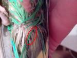 post-64238-1451080749_thumb.jpg