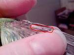 post-64238-1451080762_thumb.jpg