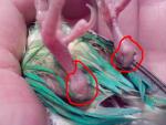 post-64238-1451688748_thumb.jpg
