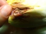 post-64253-1454089278_thumb.jpg