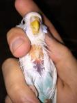 post-64416-1454281723_thumb.jpg