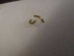 post-64427-1453128231_thumb.jpg