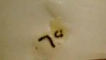 post-64473-1452011673_thumb.jpg