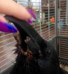 post-64526-1452370940_thumb.jpg