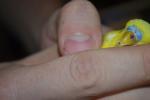 post-64533-1484995298_thumb.jpg