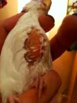 post-64626-1453068907_thumb.jpg
