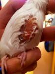 post-64626-1453070079_thumb.jpg