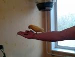 post-6465-1162065278_thumb.jpg