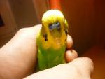 post-64675-1453480366_thumb.jpg