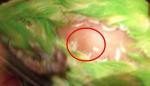 post-64776-1454183919_thumb.jpg