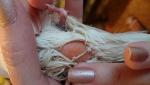 post-64794-1454245533_thumb.jpg