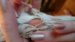 post-64794-1454245545_thumb.jpg
