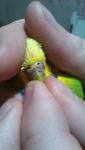 post-64802-1454272236_thumb.jpg
