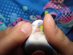 post-64959-1455389491_thumb.jpg