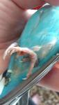 post-64962-1455436977_thumb.jpg