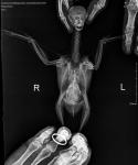 post-65044-1456072400_thumb.jpg