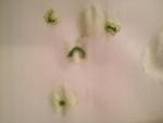 post-65053-1481735856_thumb.jpg