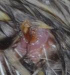 post-65081-1457275230_thumb.jpg