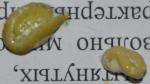 post-65081-1457275365_thumb.jpg