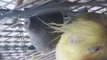 post-65088-1456206176_thumb.jpg