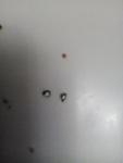 post-65158-1457809172_thumb.jpg