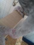 post-65338-1505742588_thumb.jpg