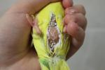 post-65466-1460734095_thumb.jpg