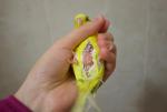 post-65466-1460734140_thumb.jpg
